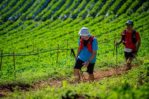 BIB: 256
                            <button type="button" onclick="openModal(19162246)" class="btn btn-primary btn-sm float-right btn-popup" data-toggle="modal" data-target=".modal-high-quality">
                        <i class="fas fa-shopping-cart"></i> Add to Cart
                    </button>
                                            <button type="button" onclick="isThisMe(19162246, true)" class="btn btn-success btn-sm float-right btn-popup btn-isme hidden" data-toggle="tooltip" data-placement="bottom" title="นี่คือรูปของคุณใช่ไหม คลิกที่นี่เพื่อเอาเข้าอัลบั้ม">
                        <i class="fas fa-plus"></i> Add to album
                    </button>
                    <button type="button" onclick="isThisMe(19162246, false)" class="btn btn-warning btn-sm float-right btn-popup btn-isnotme hidden">
                        <i class="fas fa-ban"></i> Remove from album
                    </button>